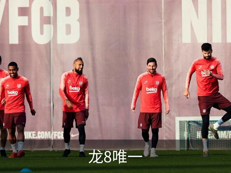 龙8唯一概况